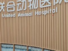 -联合动物医院(光谷诊疗中心)