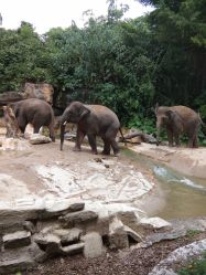 -碧玺沙灸美容美体养生馆