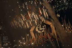 -大成唯爱婚礼 · 十年历史