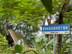 -芭厘农庄老字号·清远鸡