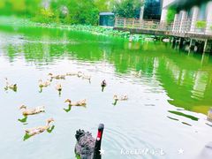 -上海怡沁园度假酒店