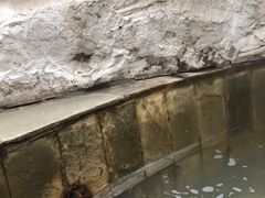 -北京美神宫艺术主题温泉酒店
