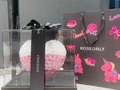 -ROSEONLY诺誓(广州K11店)