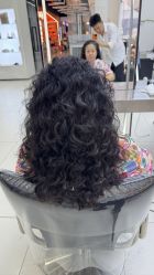 -FINE HAIR 烫染专业设计