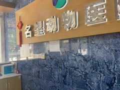 -瑞派名望志远动物医院·猫科·內科·异宠专科(直港大道店)