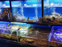 水产区-福禧荟·海鲜自助