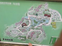 -天适樱花悠乐园