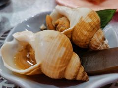 螺肉刺身-争鲜回转寿司(太阳宫凯德PLUS店)