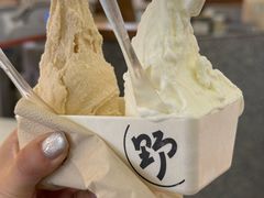 -野人先生Gelato(上海长宁龙之梦店)