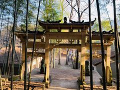 -午潮山国家森林公园