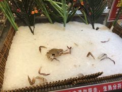 -吉布鲁牛排海鲜自助(芙蓉万家丽店)