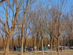 -东郊湿地公园
