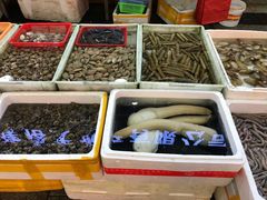 -华威西营里农产品批发市场