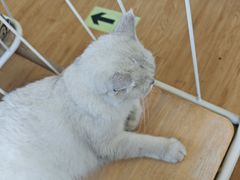 -小时光咖啡馆(开森度假森林店)