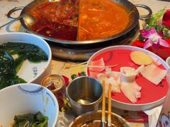 -小龙坎火锅(春熙太古里店)