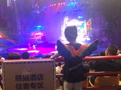 -广州长隆国际大马戏
