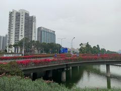 -人民公园(罗湖区)