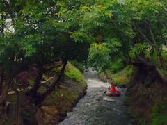 -天目湖松岭竹海漂流