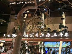 -桂满陇·海市蜃楼·黑金(国金店)