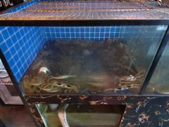 -回·龙虾铺·盆盆蟹·烧烤大排档(回龙观店)