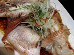 清蒸红斑鱼-同庆楼(滨湖万达广场店)