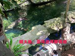 -青青世界
