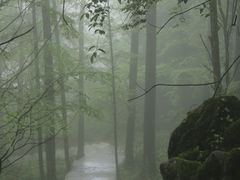 -山王坪喀斯特国家生态公园