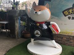 -柴犬高等学院·狗咖·柴犬售卖·宠物训练