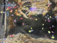 -苏州海洋馆