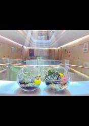 -爱弥儿月子中心(省医院店)