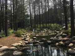 -共青国家森林公园-售票处