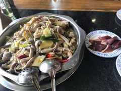 -陈三娃泡姜鸡