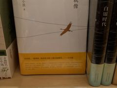 -猫的天空之城概念书店(印象城购物中心店)