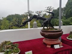 -重庆园博园