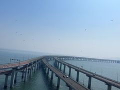 -星海湾跨海大桥