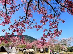 -风云岭森林公园