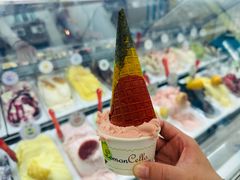 -柠檬车露(卖草地店)