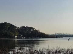 -金鸡湖景区