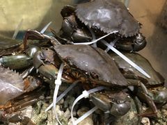 -盒马鲜生(皇庭广场店)