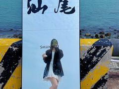 -汕尾风车岛