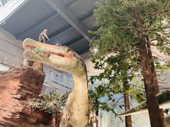 -湖南省地质博物馆