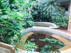 -南宫温泉水世界