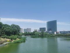 -大兴滨河森林公园