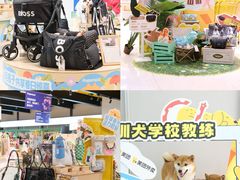 -帕帕拉兹宠物(亚洲旗舰店)