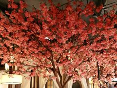-吴莊(龙城万科里店)