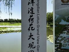 -白洋淀景区