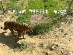 -济南野生动物世界