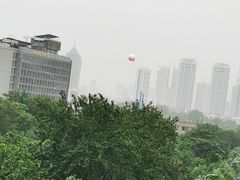 -解放阁