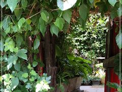 -斯多格书乡(北京大学畅春园店)