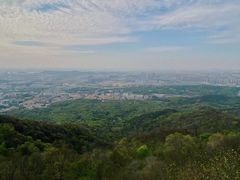 -紫金山山顶公园